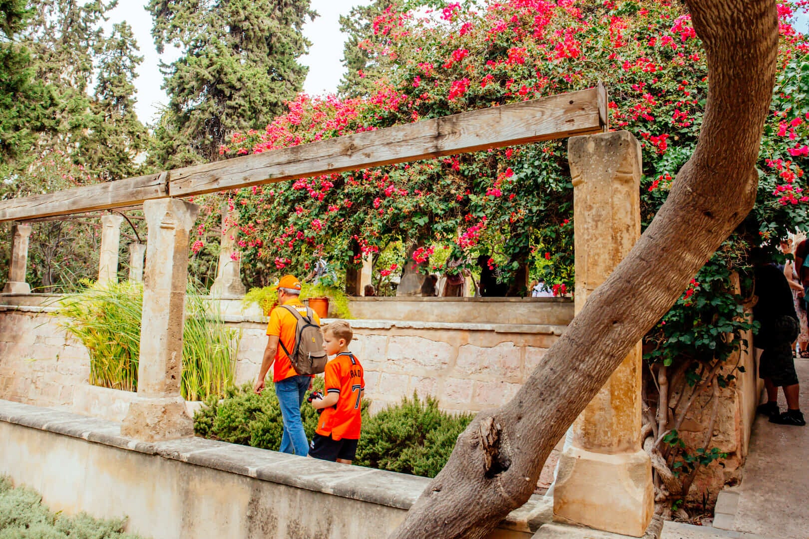 garden in Palma