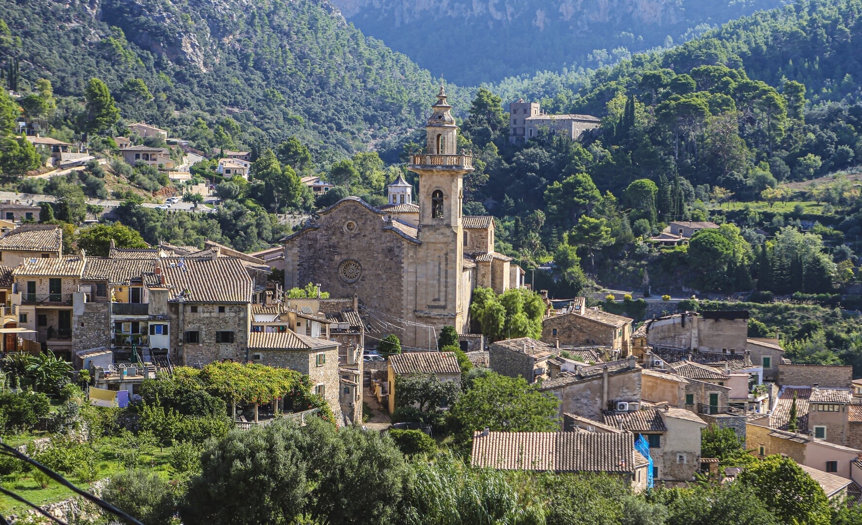 private tour to valldemosa