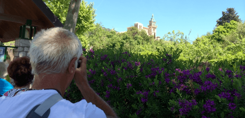 Half day private tours from Palma Port